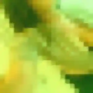 Cindy, femme de 42 ans veut plan cul à Saint-Mars-la-Réorthe