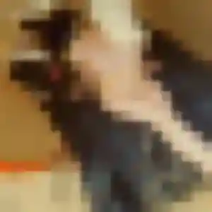Photo de Aissatou à Saint-Martin-de-Ré (30 ans) - plan cul gratuit