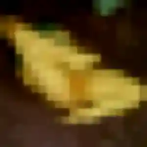 Yvette, 37 ans, connectée à Saint-Martin-de-Valamas pour une rencontre coquine