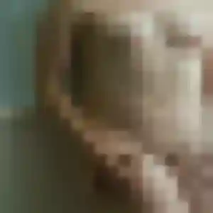 Esi, 22 ans, dispo pour plan cul à Saint-Martin-sur-Ocre