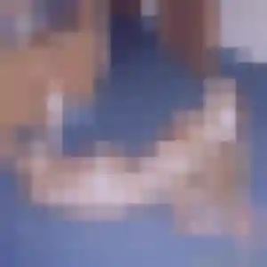 Profil de Soukeyna à Saint-Maurice-les-Brousses (27 ans) - plan cul gratuit