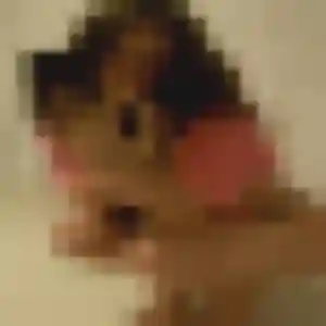 Photo exclusive de Bahati, 22 ans à Saint-Michel-de-Chavaignes - rencontre coquine