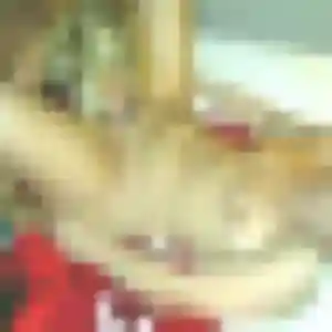 Photo exclusive de Ayélé, 35 ans à Saint-Nicolas-de-la-Taille - rencontre sans lendemain