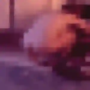 Maéva, fille de 26 ans veut plan cul à Saint-Paul-en-Pareds