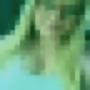 Rejoins Nabou, 43 ans à Saint-Paul-Trois-Châteaux en privé