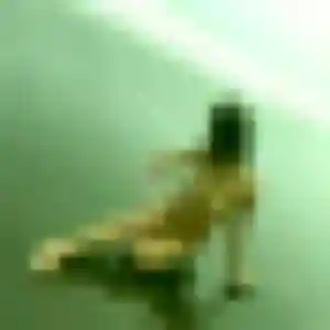 Sexy Zaïna, 37 ans à Saint-Perdon - découvrir son profil
