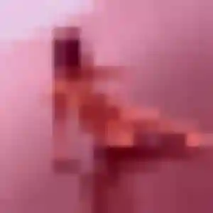 Sexy Thioro, 45 ans à Saint-Pierre-de-Rivière - découvrir son profil