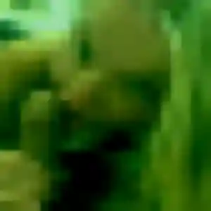 Photo perso de Efua, 27 ans à Saint-Pierre-le-Moûtier - rencontre coquine