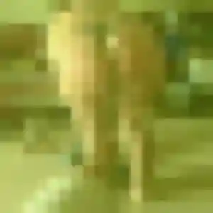 Djeneba, femme de 44 ans cherche plan cul à Saint-Séverin