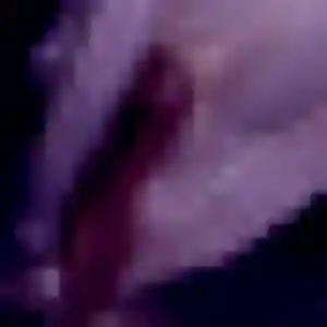 Photo sexy de Naëlle, 38 ans à Saint-Sulpice-la-Forêt - plan discret