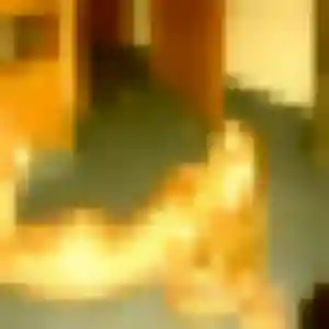 Omolara (28 ans) à Saint-Thurial cherche une rencontre ce soir