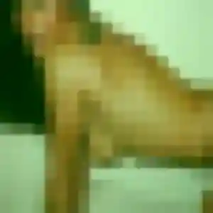 Naïma, femme de 35 ans cherche plan cul à Saint-Xandre