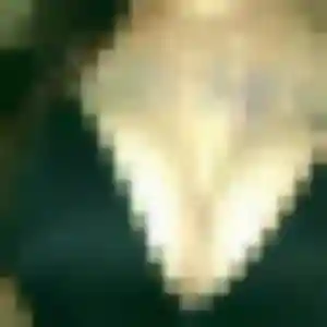 Photo privée de Nathalie, 41 ans à Sainte-Blandine - plan discret