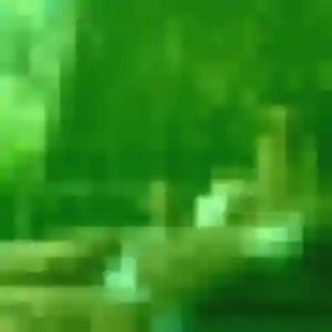 Perpétue, 42 ans, veut un plan cul à Sainte-Cécile