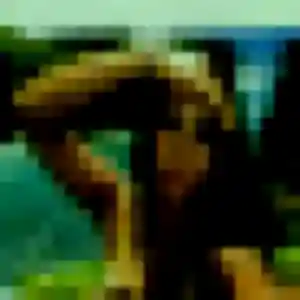 Selbé, 22 ans, disponible à Sainte-Gauburge-Sainte-Colombe pour une rencontre coquine