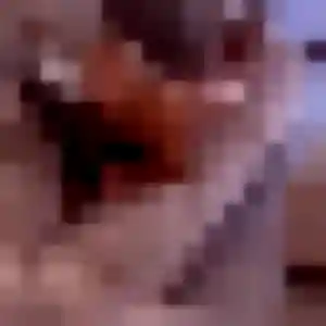 Photo exclusive de Oumou Kalsoum, 45 ans à Sainte-Geneviève-lès-Gasny - plan discret