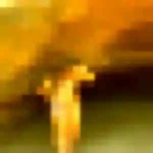 Stella, fille de 28 ans cherche plan cul à Sainte-Maxime
