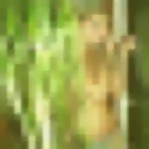 Profil de Akouavi à Sainte-Ruffine (22 ans) - plan cul gratuit