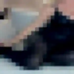 Maéva, 22 ans, connectée à Sainte-Sève pour une rencontre coquine