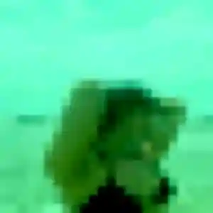 Photo de Adwoa à Sainte-Sigolène (41 ans) - plan cul anonyme