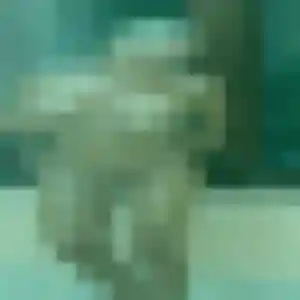 Photo sexy de Perpétue, 45 ans à Saleilles - rencontre sans lendemain