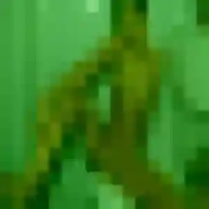 Photo de Mumbi à San-Martino-di-Lota (31 ans) - plan cul anonyme
