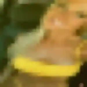 Bérénice, 37 ans, dispo pour plan cul à Saulces-Monclin