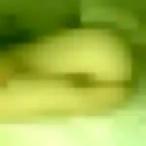Ndèye, 40 ans, connectée à Saulchery pour une rencontre coquine