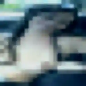 Divine (40 ans) à Sceaux-d'Anjou cherche une rencontre aujourd'hui