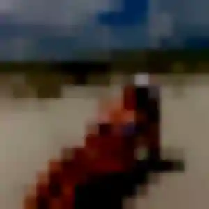 Shanna de Schaeffersheim, 43 ans - plan cul sans prise de tête