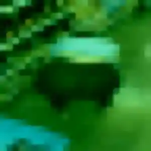 Photo de Soda à Schnersheim (24 ans) - plan cul anonyme