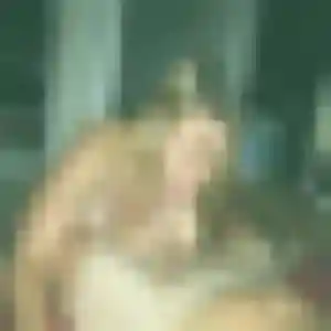 Faustine, fille de 30 ans veut plan cul à Scorbé-Clairvaux