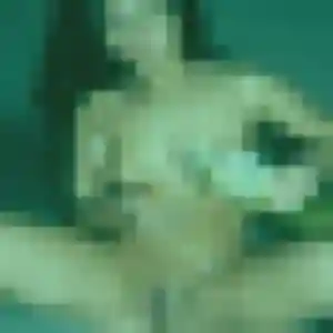 Profil de Bousso à Sévérac d'Aveyron (43 ans) - plan cul gratuit