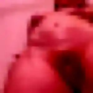 Quetsia de Sillery, 22 ans - plan cul discret