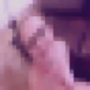 Khady, femme de 25 ans cherche plan cul à Sorbo-Ocagnano