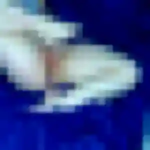 Profil de Sokhna à Spéracèdes (31 ans) - plan cul gratuit