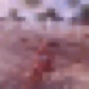 Photo de Uchenna à Steenbecque (35 ans) - plan cul discret