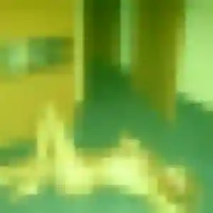 Photo de Saffie à Steenwerck (36 ans) - plan cul discret