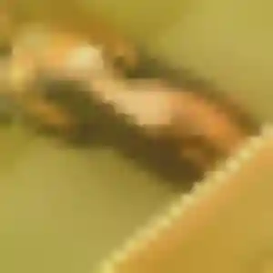 plan cul à Taisnières-sur-Hon : photo de Adja, 32 ans - sans engagement