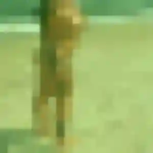 Ornella, 27 ans, disponible à Tarabel pour une rencontre coquine