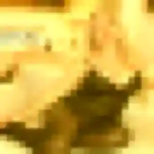 Photo de Fanny à Teuillac (38 ans) - plan cul anonyme