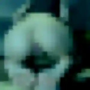 Profil de Mireille à Thiézac (22 ans) - plan cul gratuit