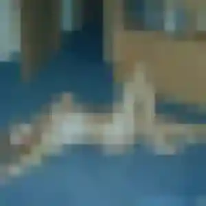 Photo exclusive de Salma, 36 ans à Thiviers - plan discret