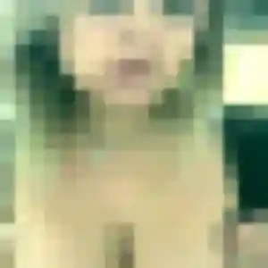 Photo exclusive de Muthoni, 23 ans à Thorigny - rencontre coquine
