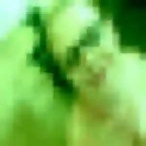 Sexy Noémie, 40 ans à Tinchebray-Bocage - la contacter