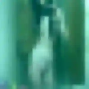 Zélie, 28 ans, disponible à Tourville-sur-Arques pour une rencontre coquine