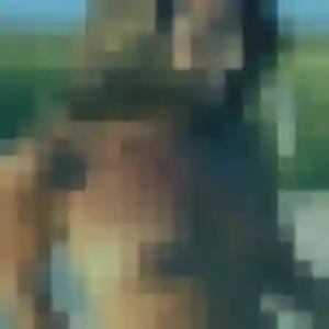 Nadège, 39 ans, disponible à Toutainville pour une rencontre coquine