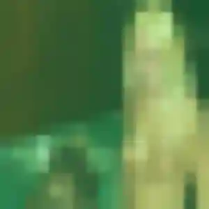 Photo de Bukola à Trans-sur-Erdre (44 ans) - plan cul discret