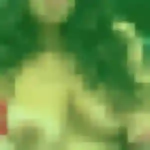 Charmante Aida, 38 ans à Trélissac - la contacter