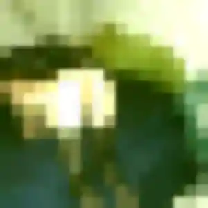 Photo de Issa à Trouhans (41 ans) - plan cul sans inscription